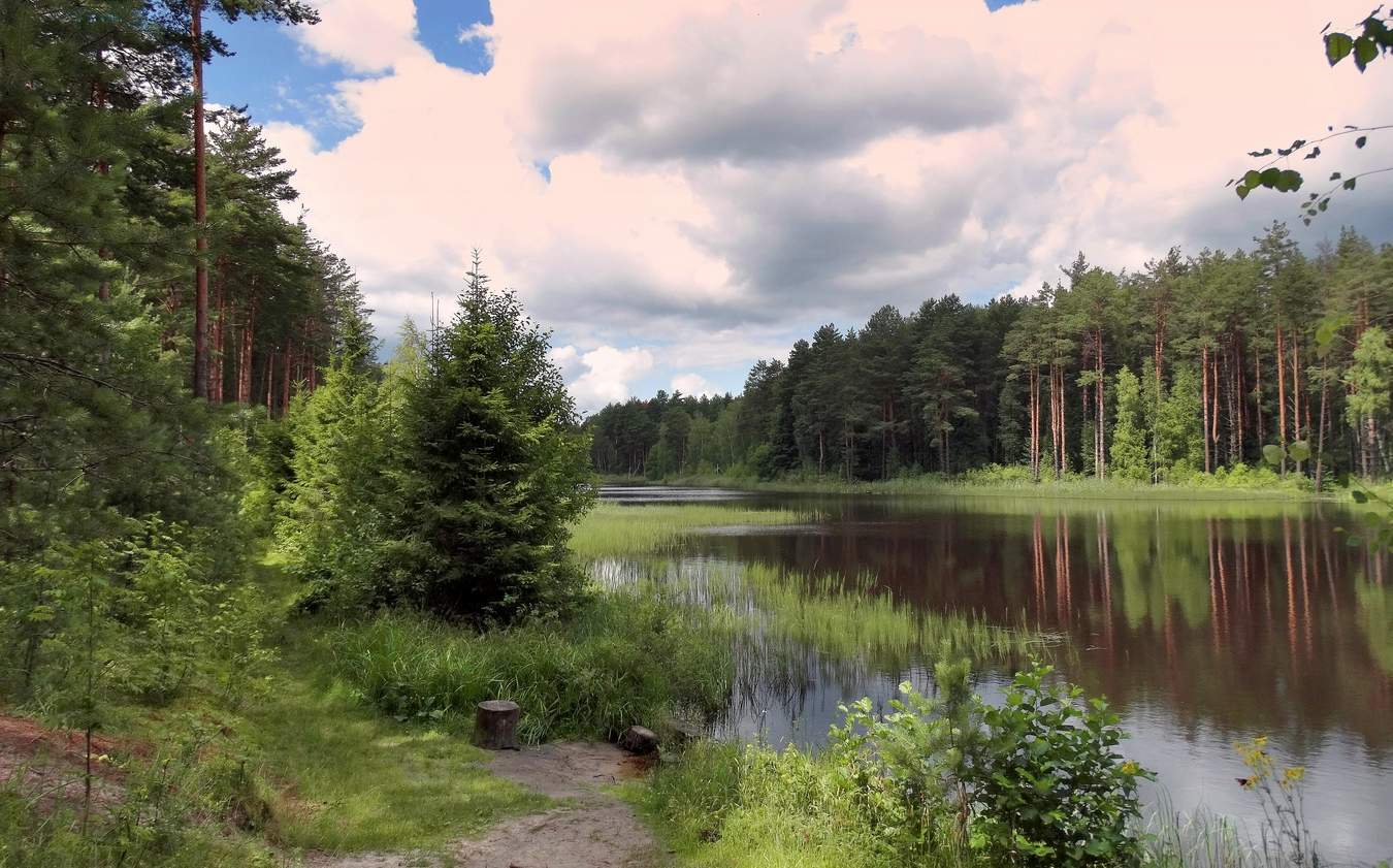 Июльский день на озере