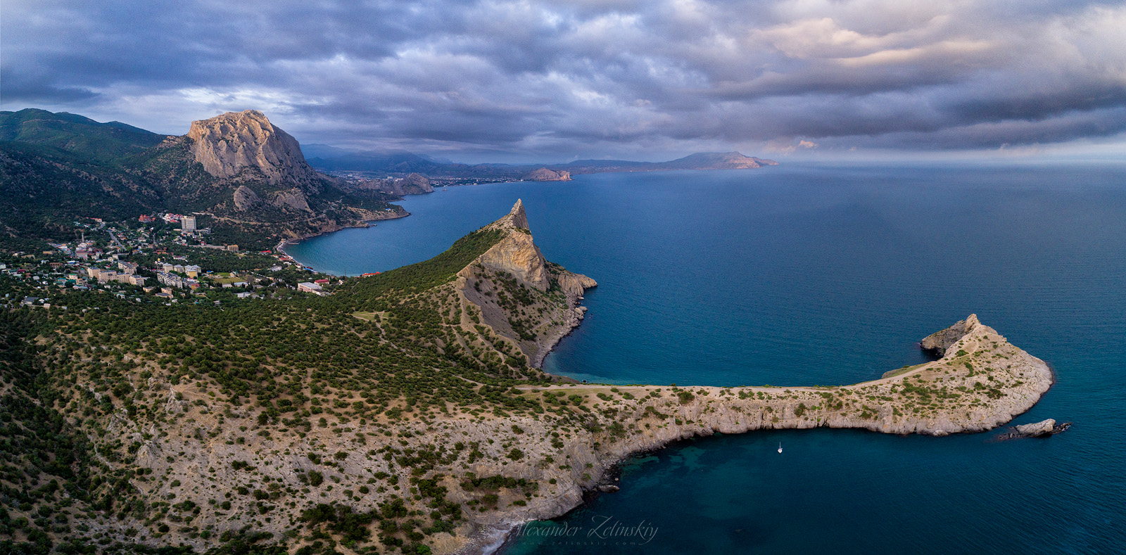 Большой новосветский осьминог