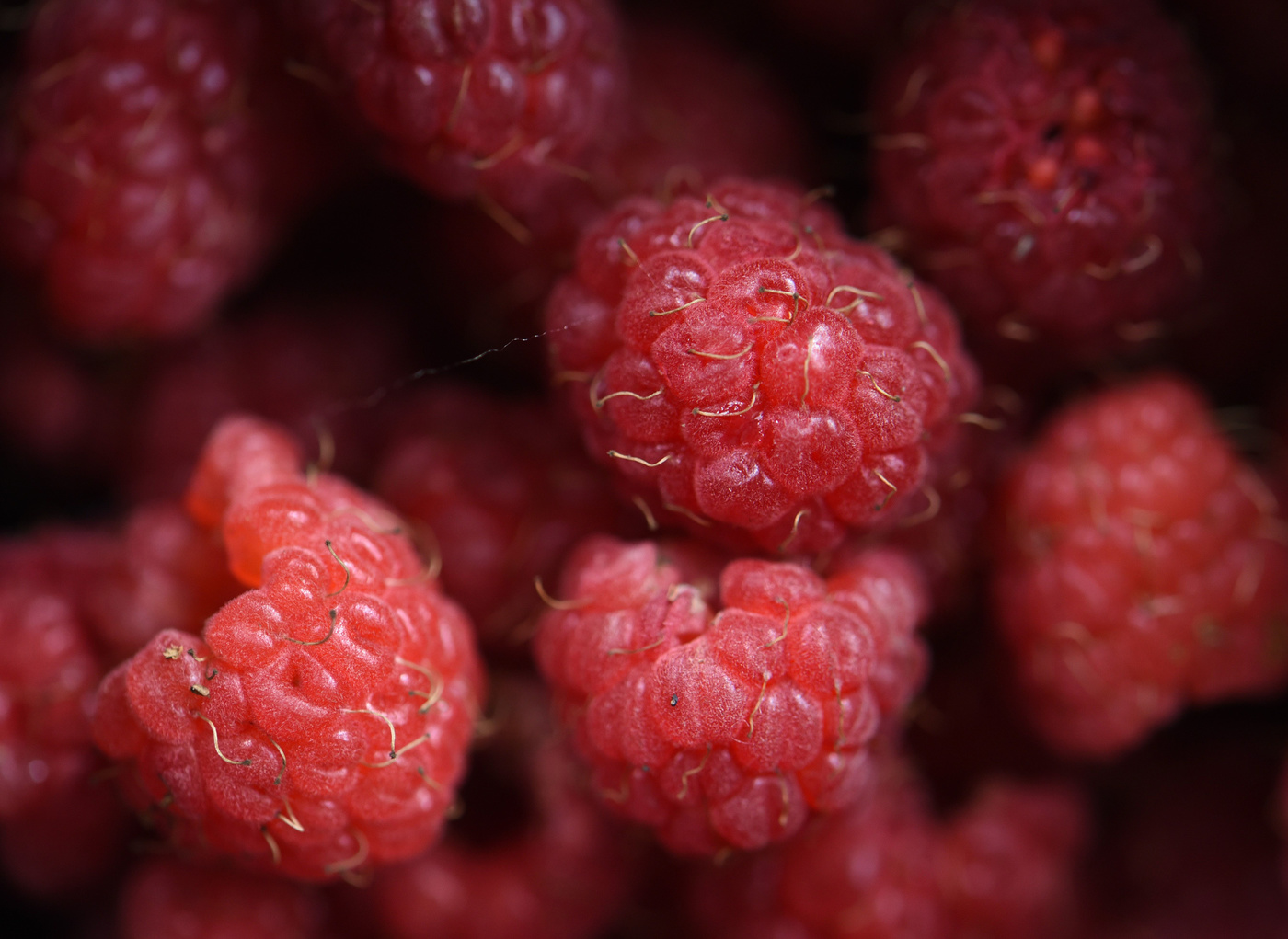 "Ягода-малина нас к себе манила ..."