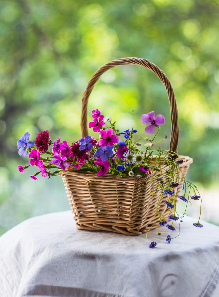 Лето в корзинке