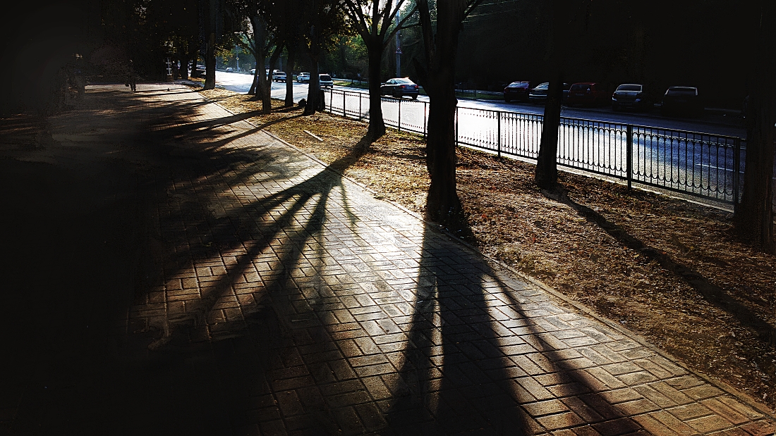 куриные лапки