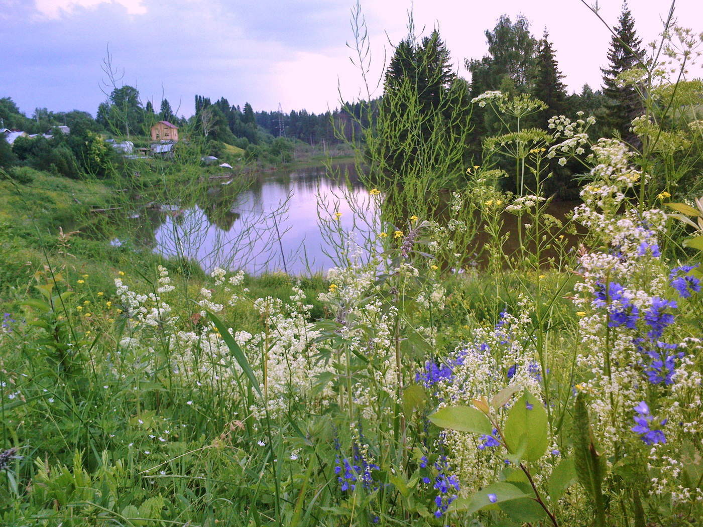 Погожий денёк.