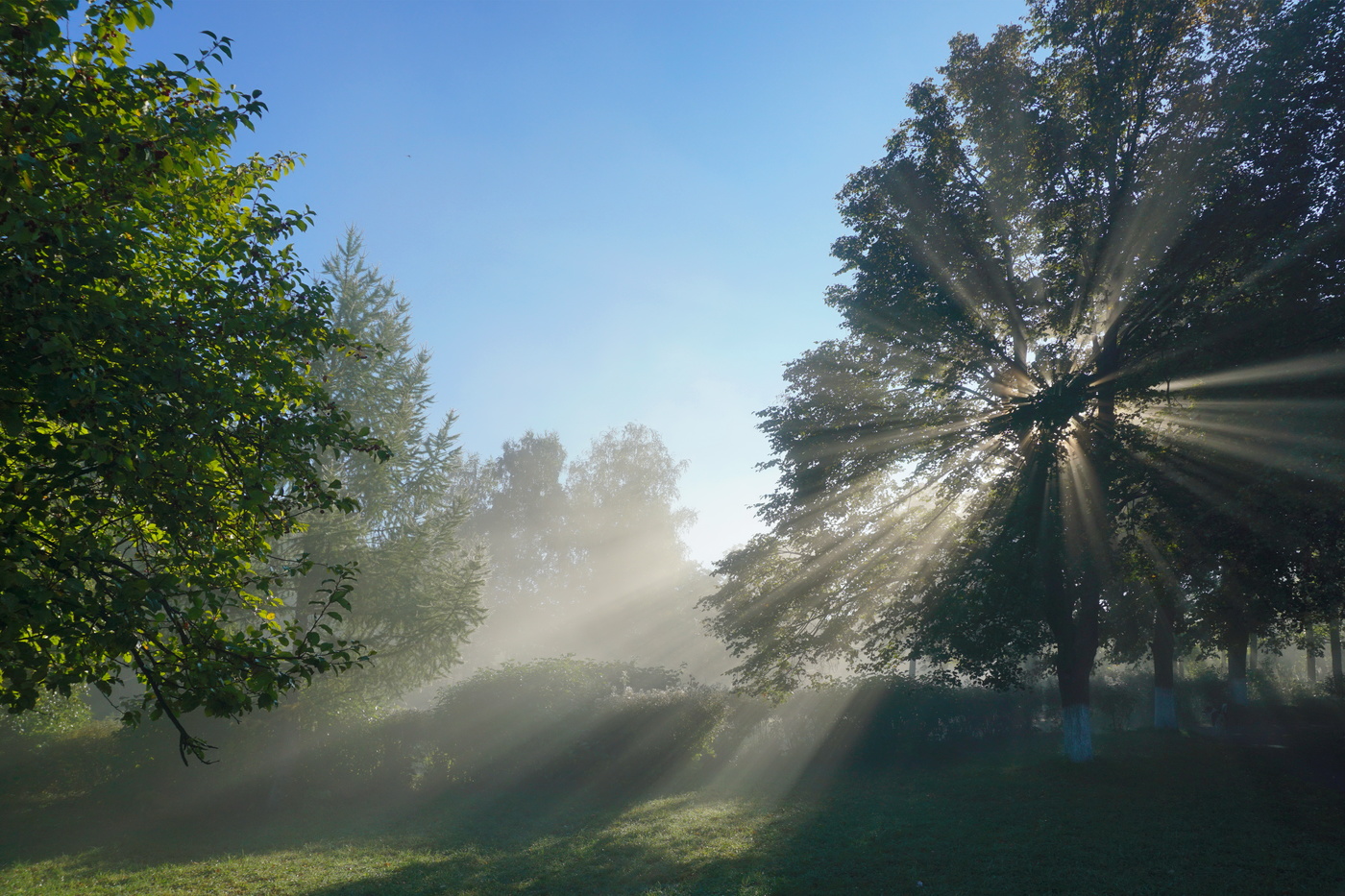 Лучистое утро.
