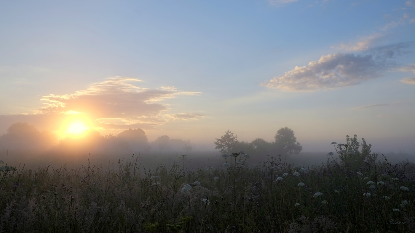 Рассвет в поле.