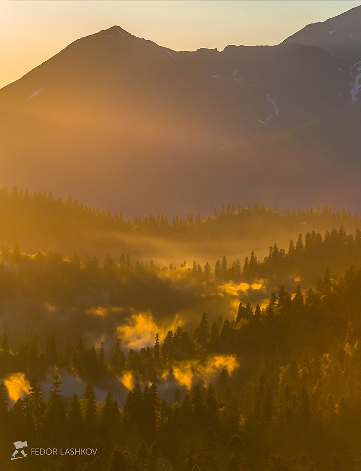 Затерянный мир