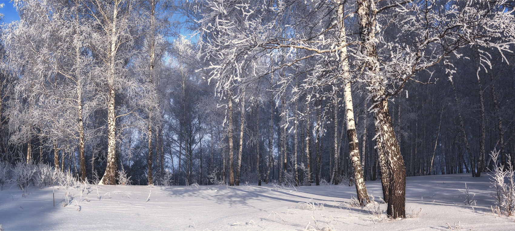 Зимнее настроение.