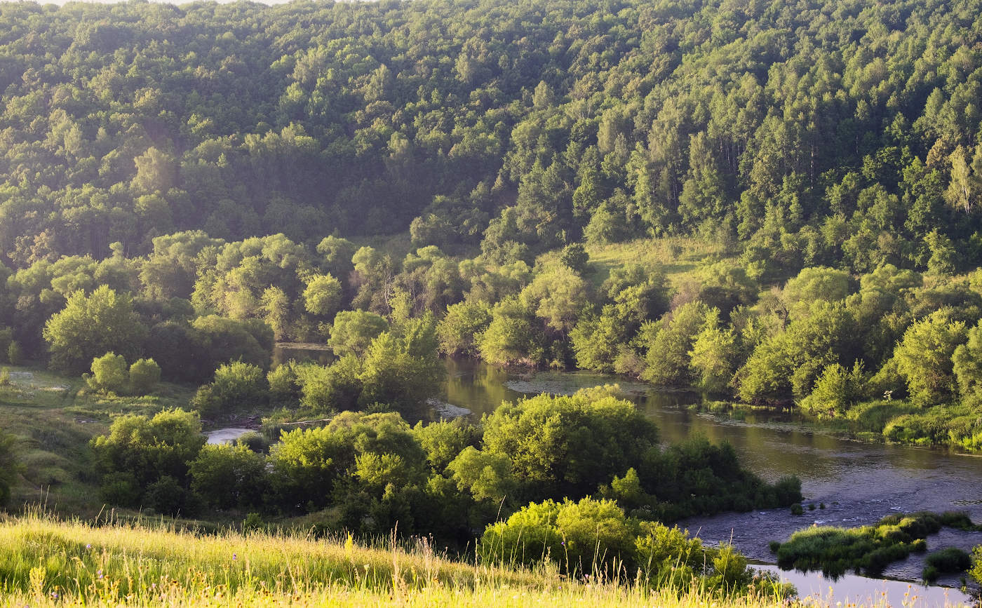 Здравствуй утро, здравствуй новый день