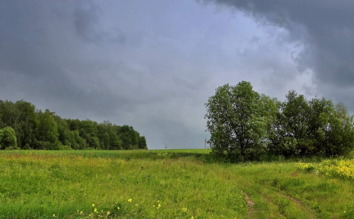 Вот, вот польёт и грянет гром