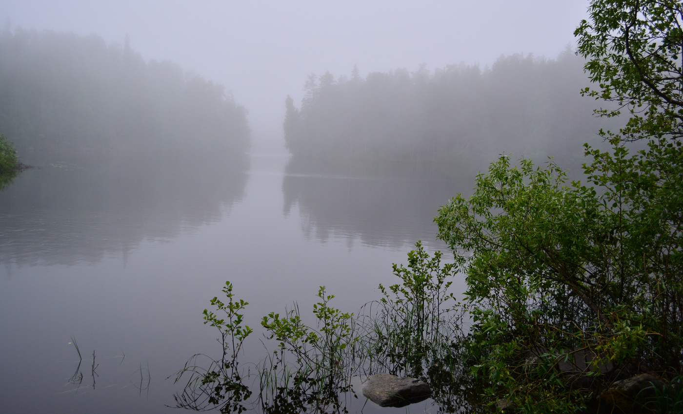На тихом озере