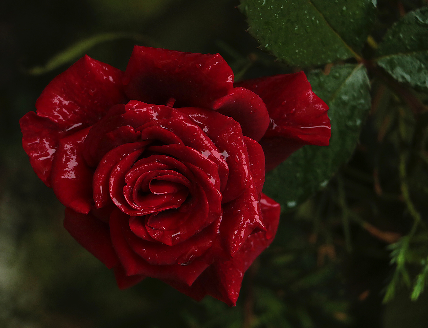 Роковая страсть