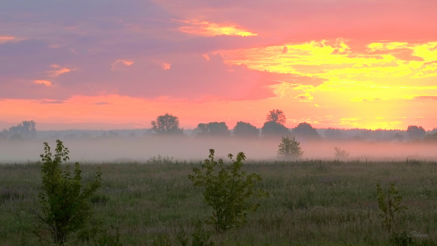 Летнее утро в поле.