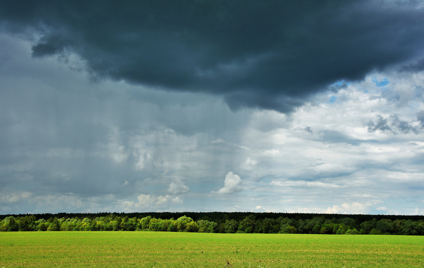 Ласковый дождик ...