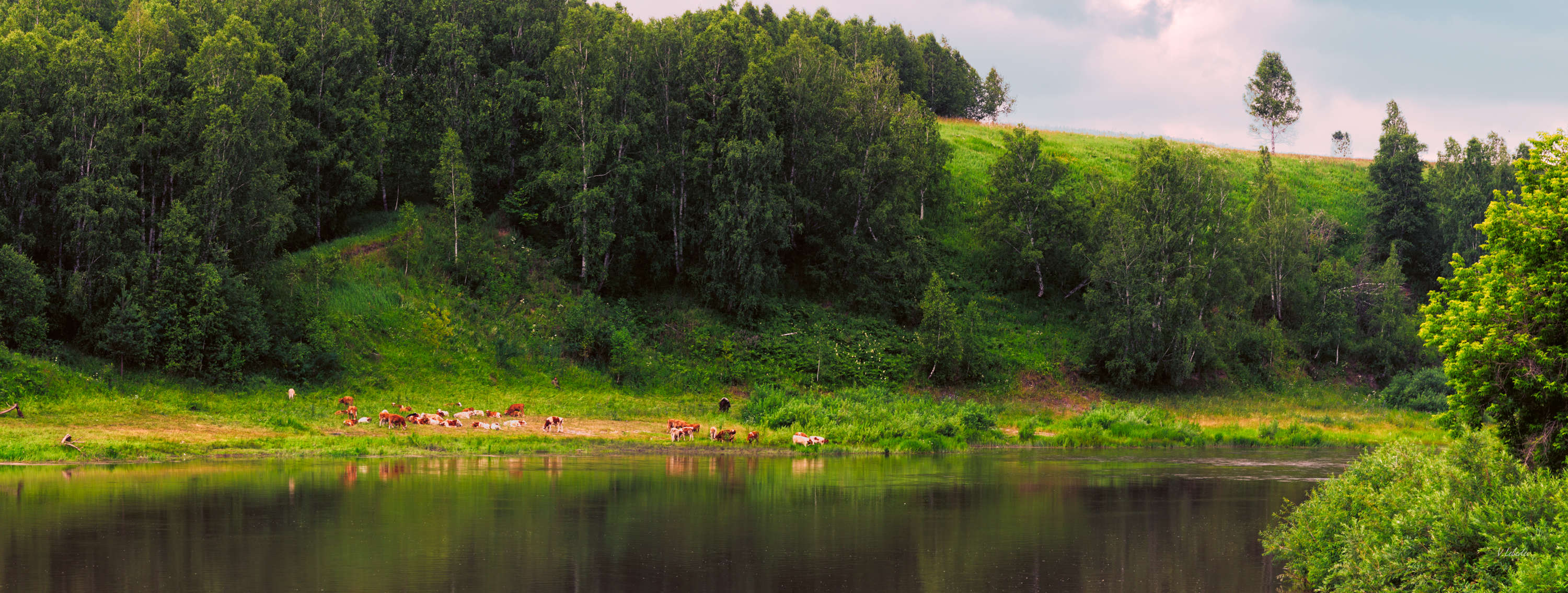 Зеленая пятница