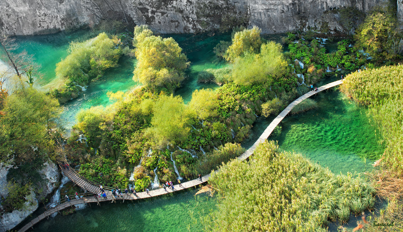 Зеленая пятница