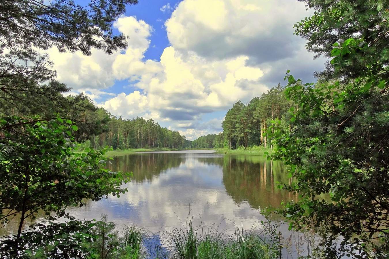 Зеленая пятница