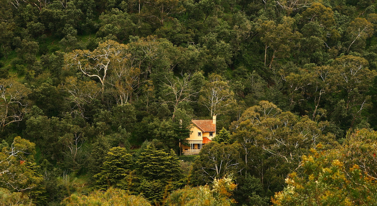 Зеленая пятница