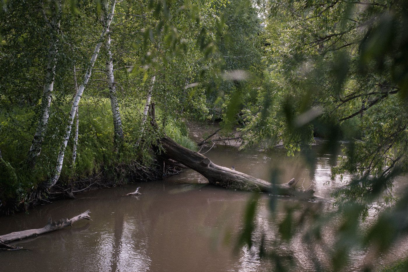 Зеленая пятница