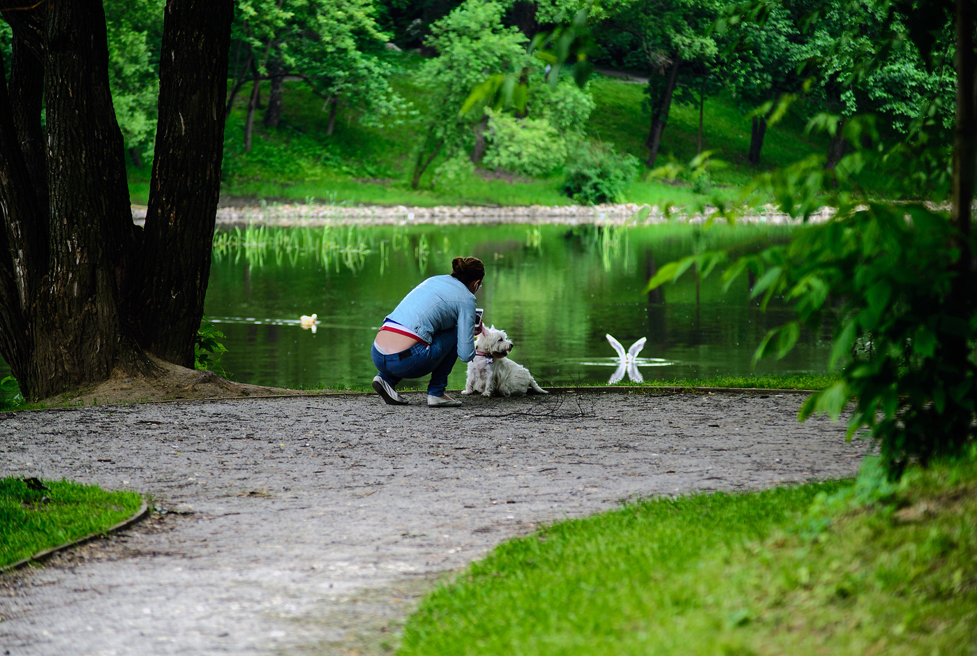 Зеленая пятница