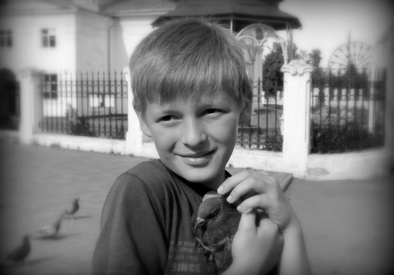 Спас голубя от собаки