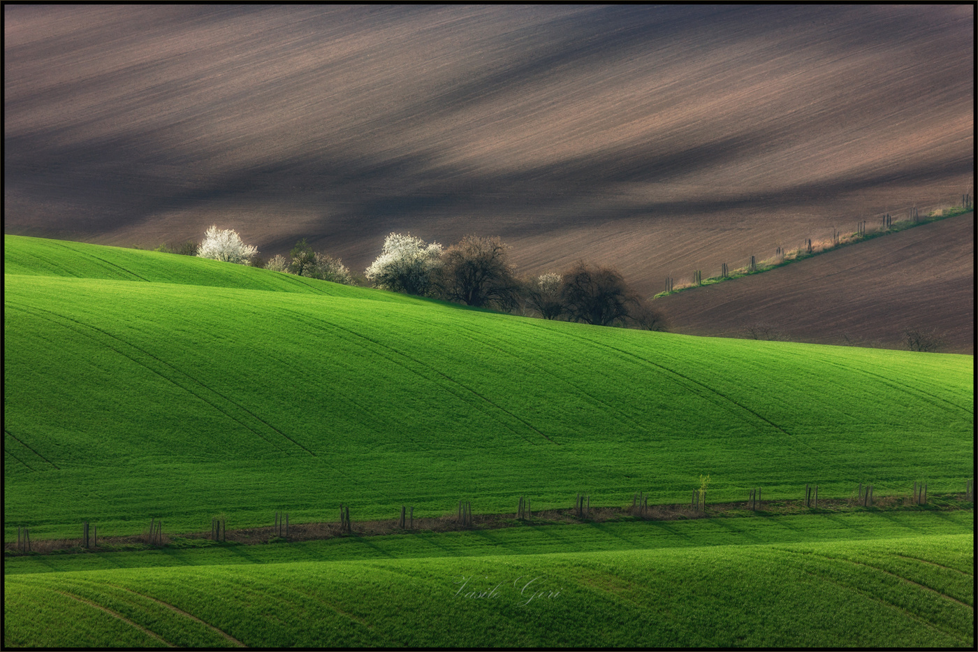 Свет волнистой долины