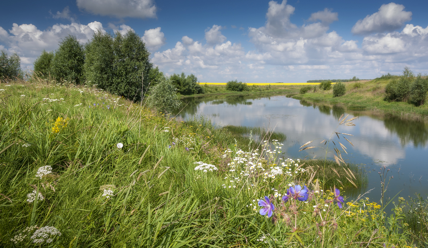 Июльским утром!