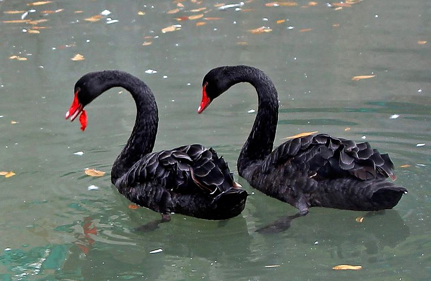 Одиллия в шоке - какая некачественная косметика!