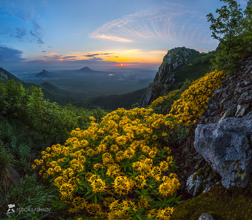 Страна из фэнтези