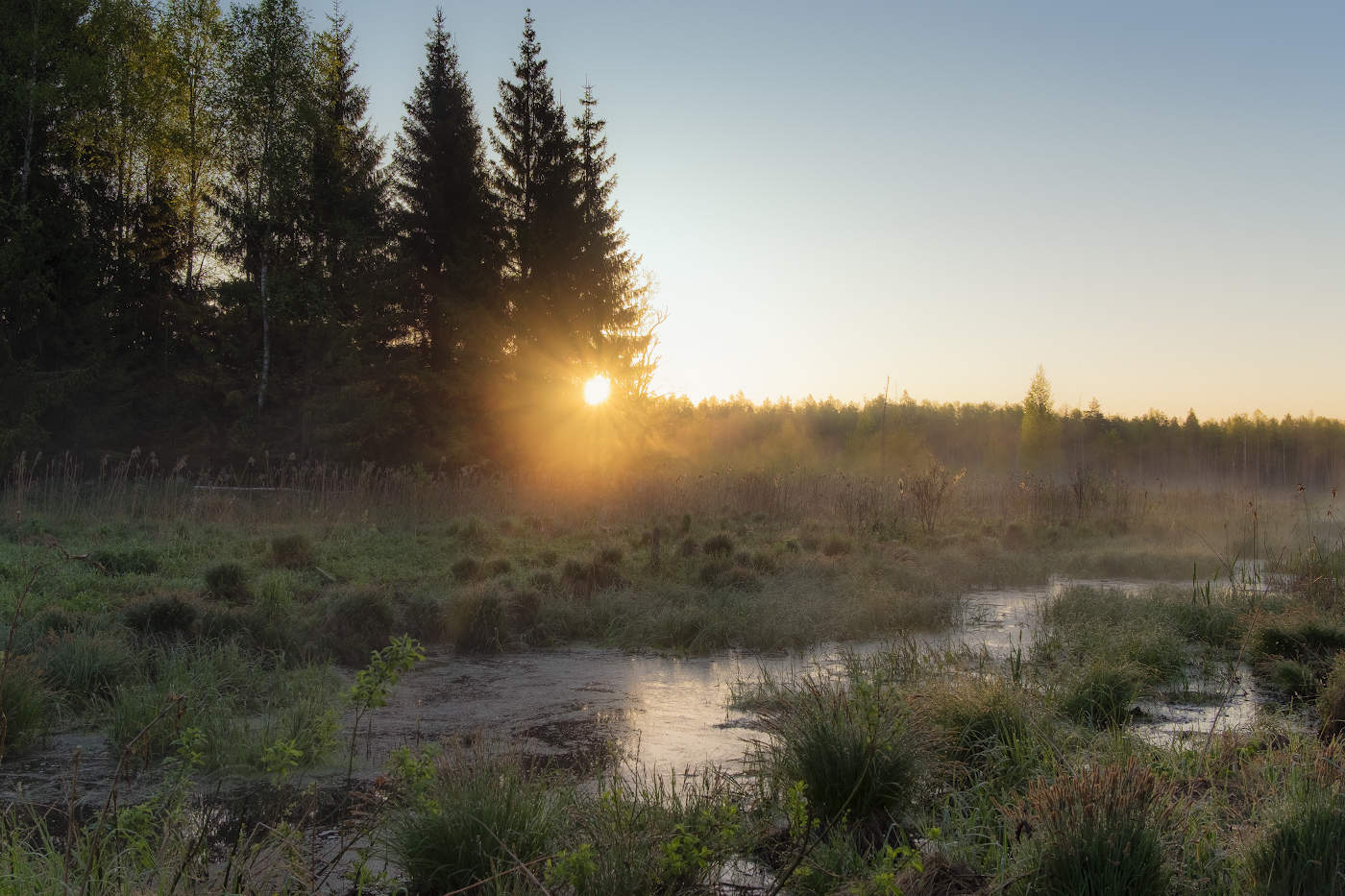 Солнечный привет мая