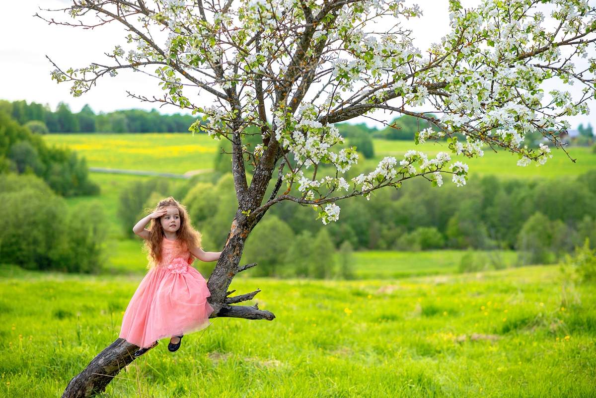 Катя на дереве