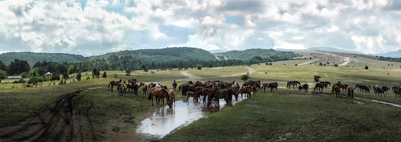После Грозы