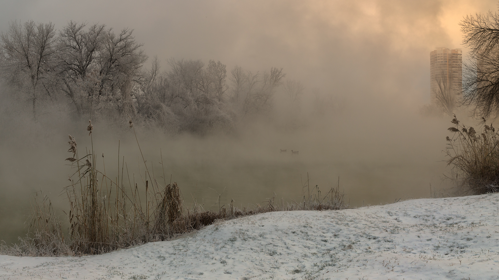 В городском парке