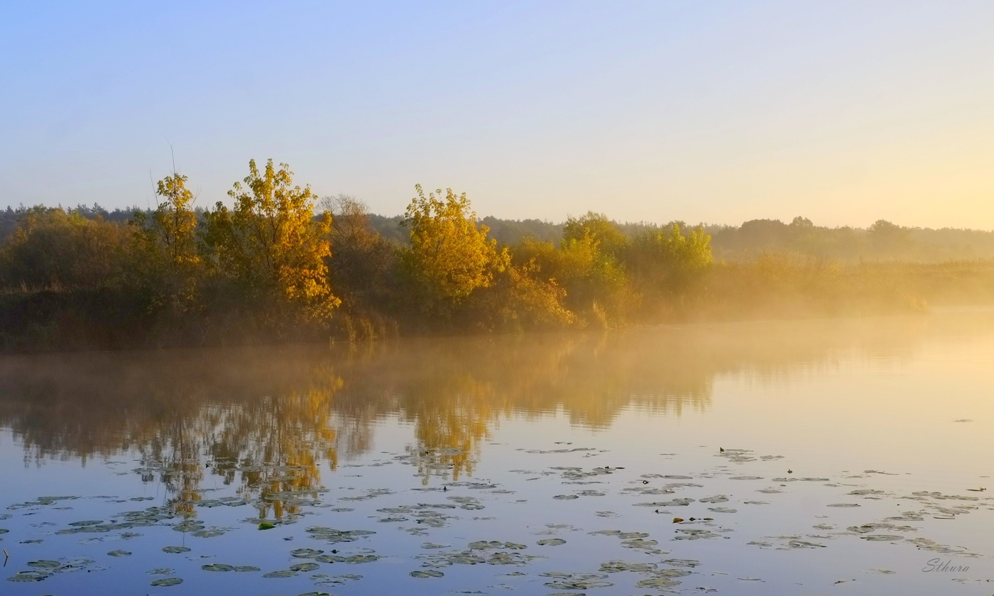 Осенние туманы.