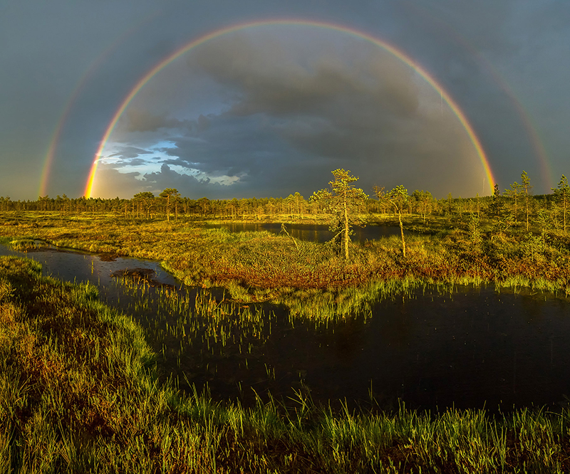 Летняя радуга