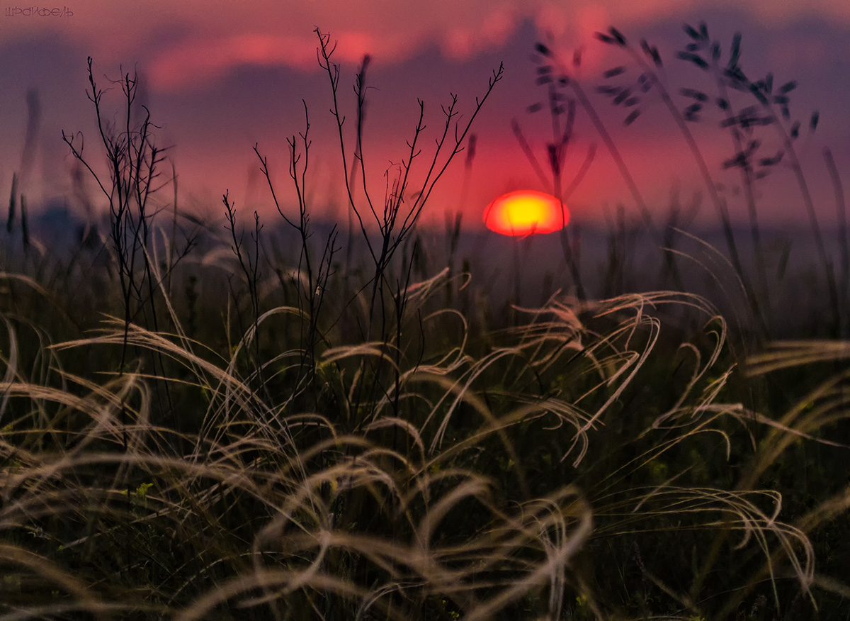 Осталась капля дня