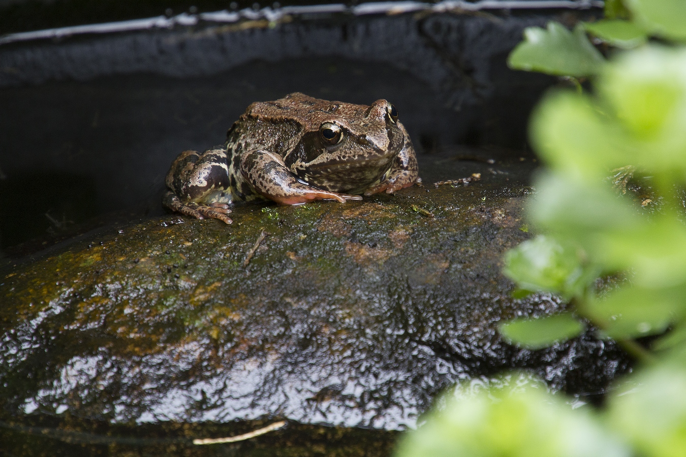 Грустно что-то...