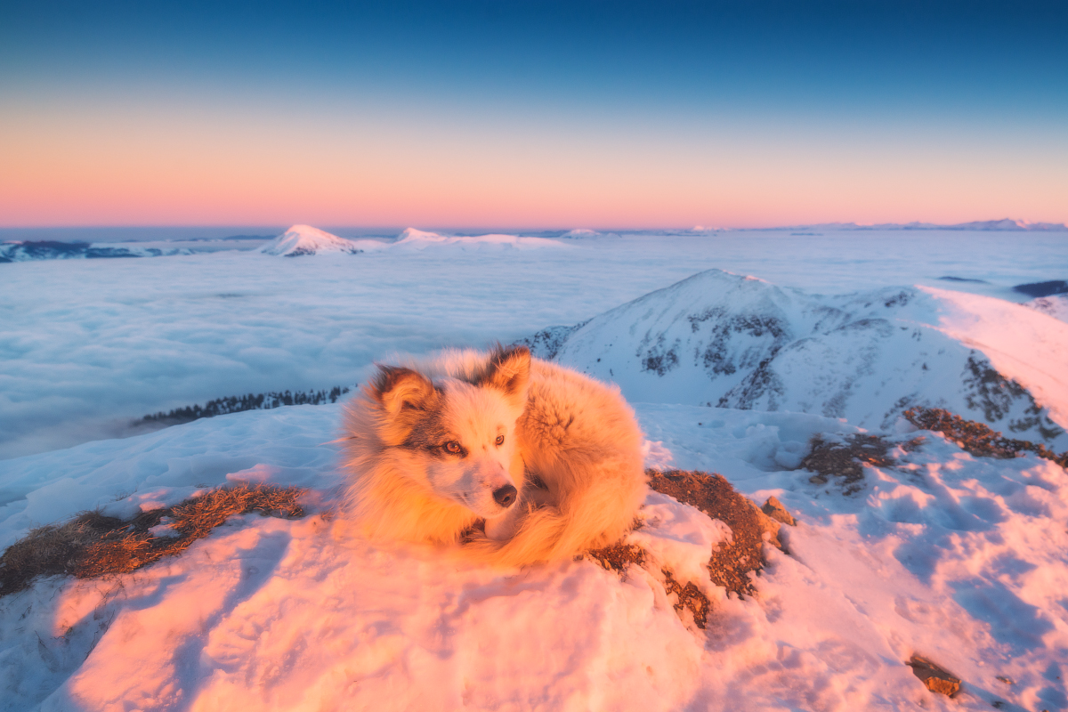 Сон на свежем воздухе