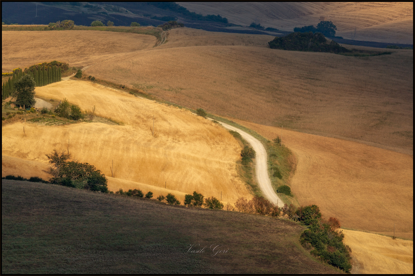Светлая дорога