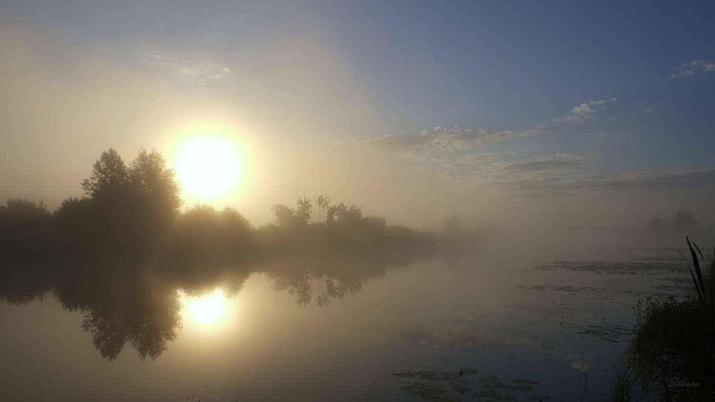Солнце в тумане.