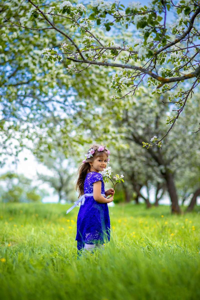 Майский сон