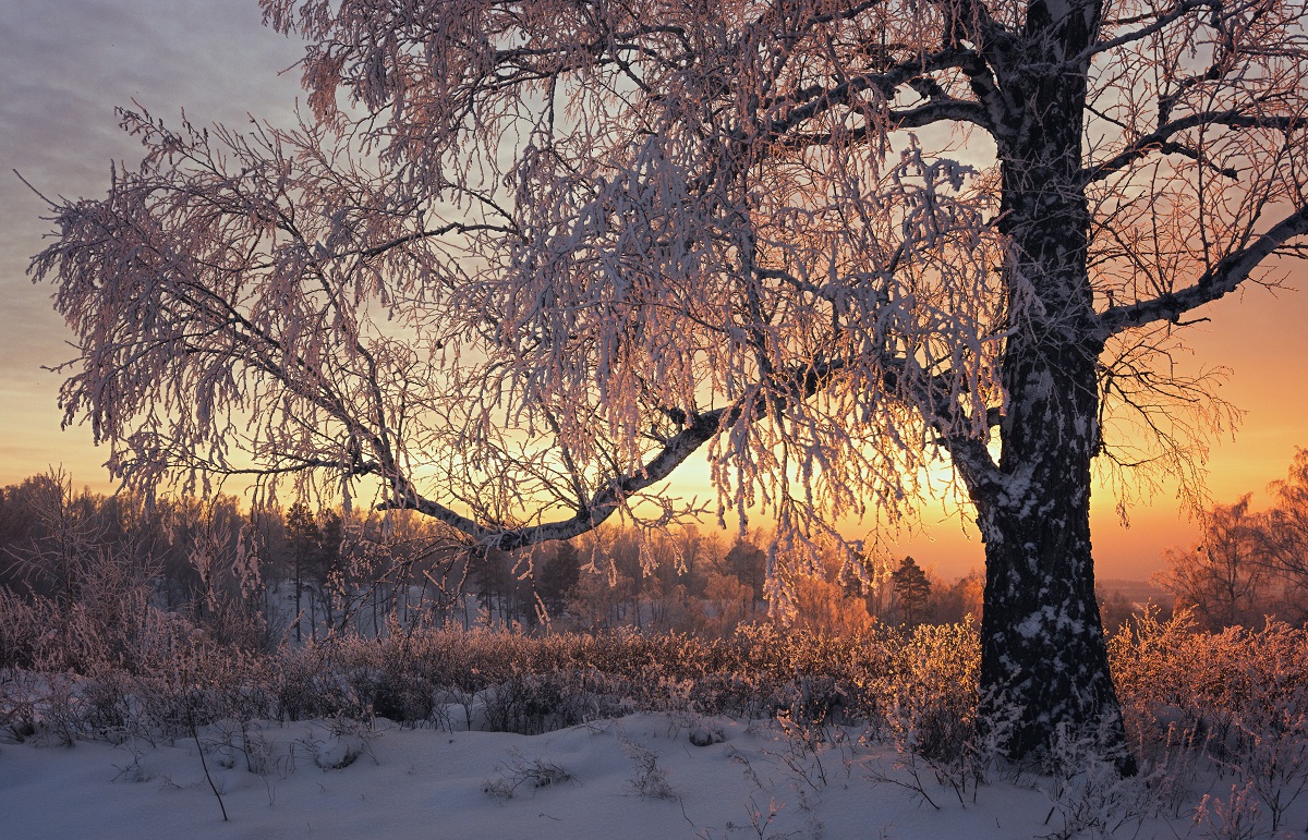 Зимний фрагмент.