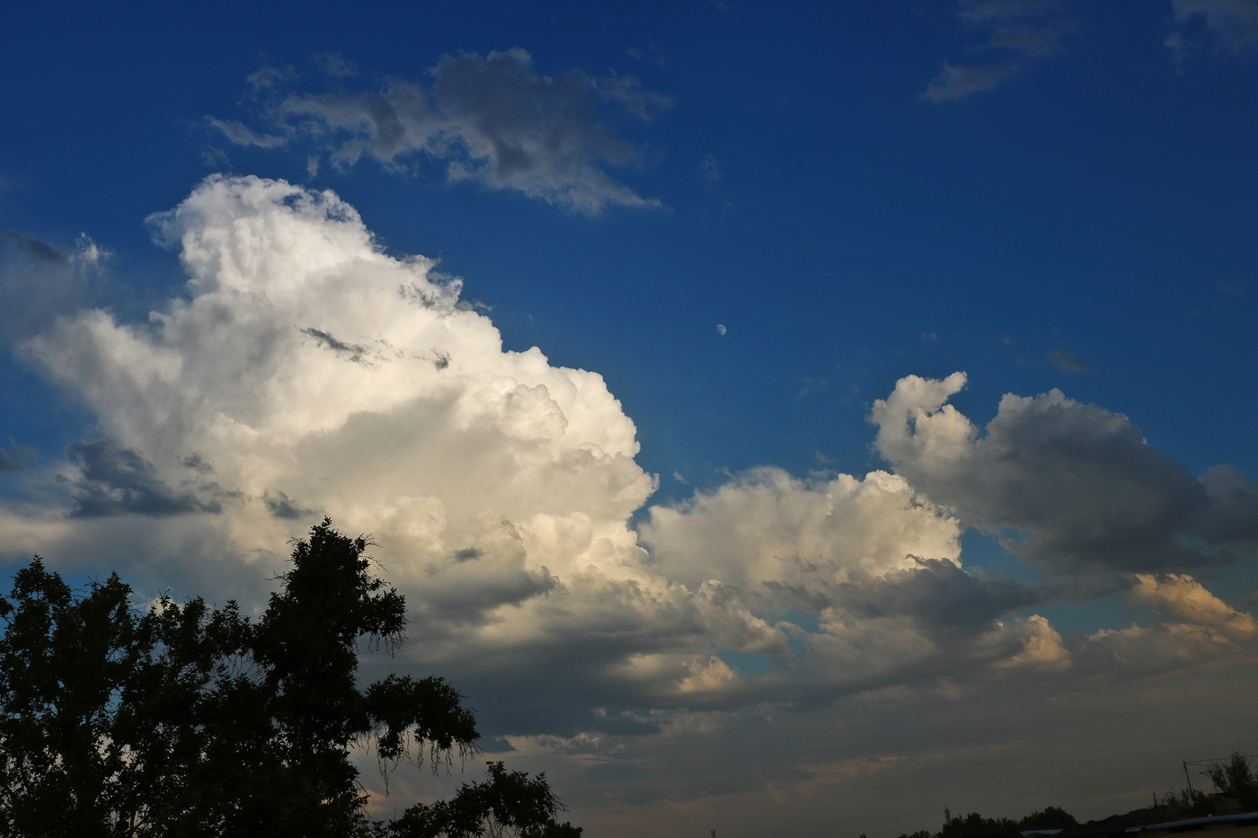 В холодном сумраке ночном