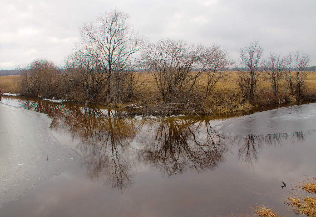 И снова пасмурно