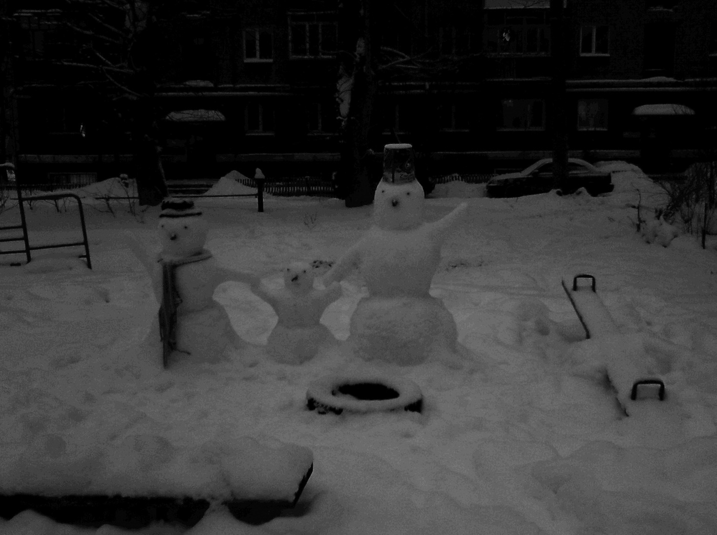 В холодном сумраке ночном