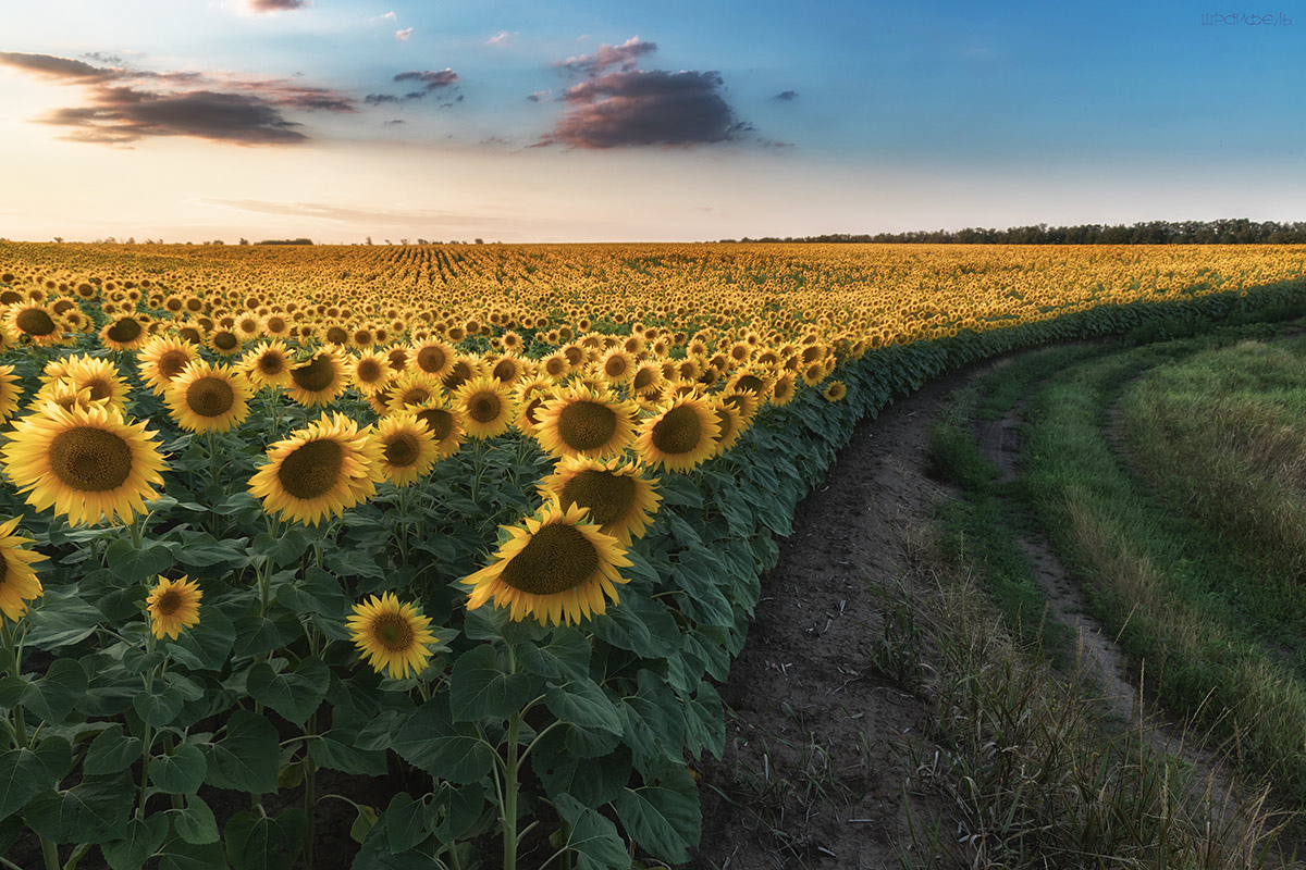 Поворот в сторону осени