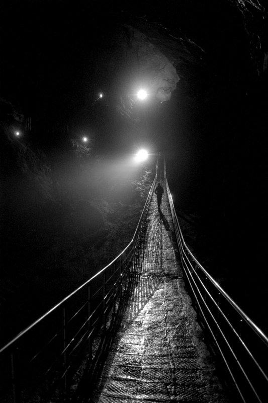 В холодном сумраке ночном