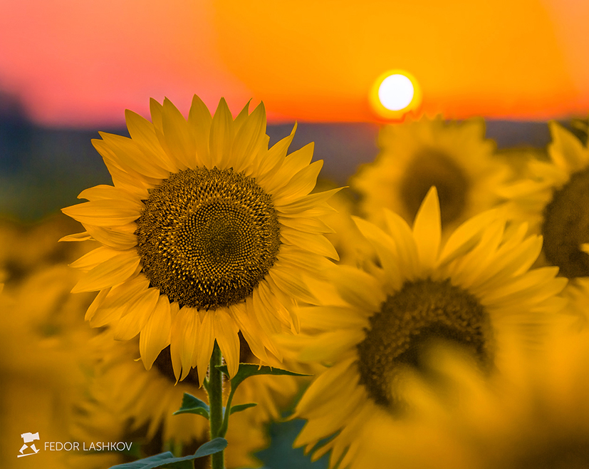 Солнце на закате