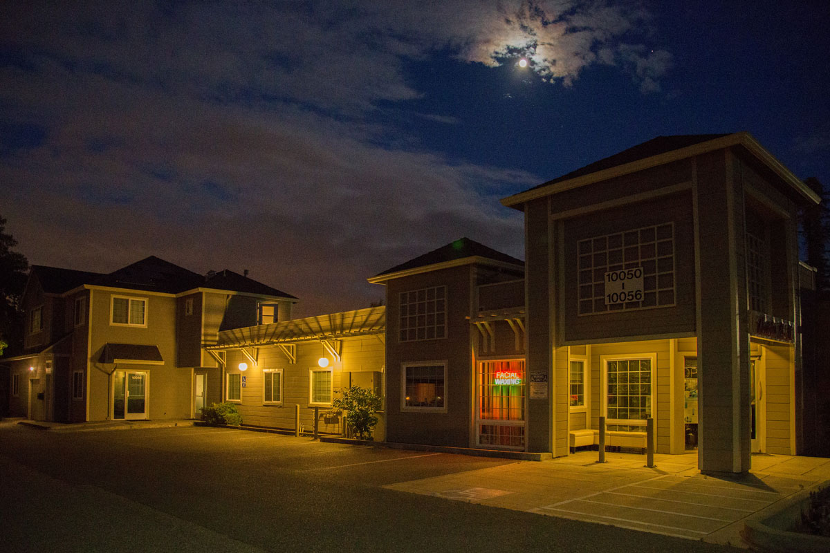 В холодном сумраке ночном