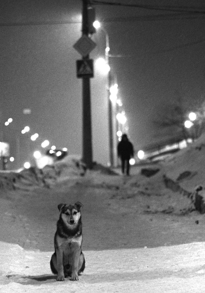 В холодном сумраке ночном