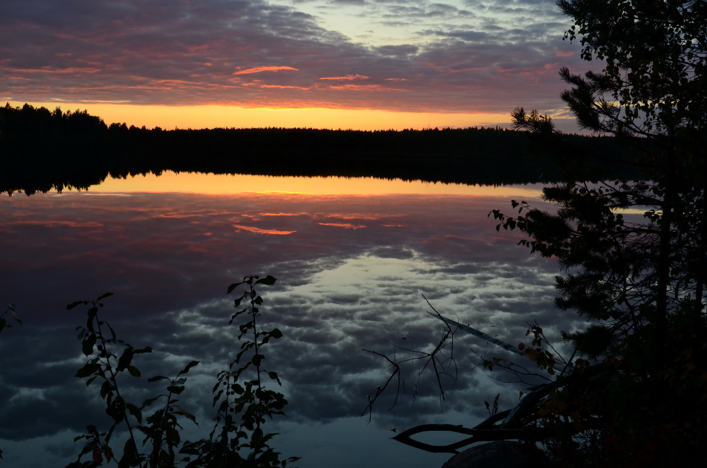 В холодном сумраке ночном