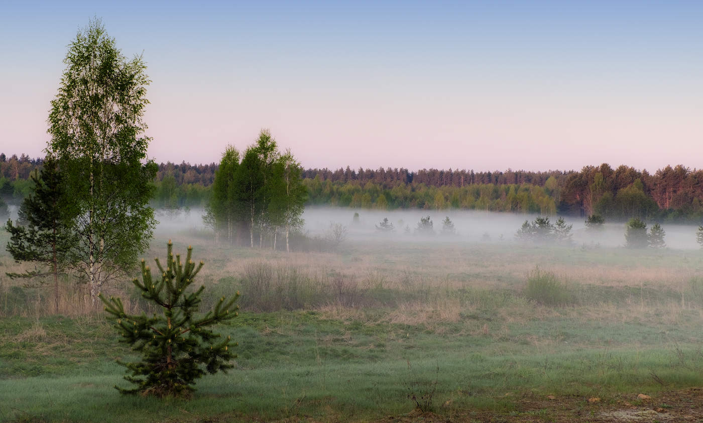 Рассвет на лугу.